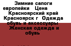 Зимние сапоги, европейки › Цена ­ 1 000 - Красноярский край, Красноярск г. Одежда, обувь и аксессуары » Женская одежда и обувь   